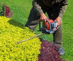 tree and shrub services