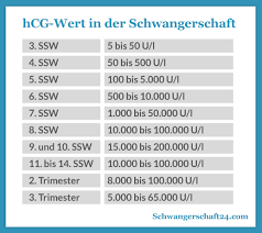 Schwangerschaftshormon Hcg Und Hcg Wert