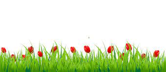 Grass Png Image Grass Grass Drawing Png Images