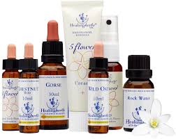 J'ai connu les fleurs de bach par un ami qui vivait un stress important suite à un choc émotionnel violent, il vivait avec des antidépresseurs jusqu'au jour une amie lui à donné de la fleur de bach ! Cet Article Est Le Votre Quels Sont Vos Experiences Avis Au Sujet Des Differentes Marques De Fleurs Healing Herbs Autres Marion Fleurs