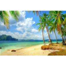 Check spelling or type a new query. Vinyl Horizontal 3d Beach Wallpaper Rs 80 Square Feet Shri Radha Rani Trading Company Id 21317835791