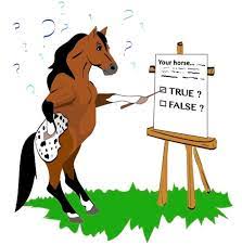 Let's find below 60 knowledgeable horse trivia questions with answers for you and any other fan around you. Trivia Challenge Horse Conformation Horse Rider