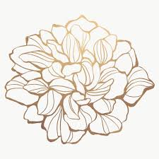 Download Premium Png Of Gold Flower Outline Transparent Png 2019662 In 2020 Outline Art Flower Outline Line Art Flowers