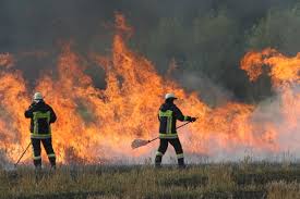Aktuelle, interaktive karte mit allen waldbränden in b.c. Tipps Zur Bekampfung Von Flachen Und Waldbranden Feuerwehr Magazin