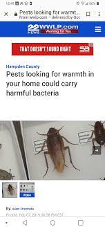 56 beğenme · 6 kişi bunun hakkında konuşuyor. Goodwin Cleaning And Pest Control 2831 Blair Pl Sw Canton Oh 44710 Yp Com