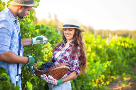 The farmers only dating site asks for your email, zip code, dating preference, and age. Pros And Cons Of Dating A Farmer As Told By Farmers Themselves Farmer Dating Expert