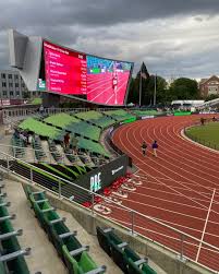 Dennis Keeley (@dkeeleystudio) • Instagram photos and videos