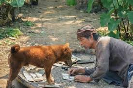 Xem phim giết người trong mộng. Cáº­u Vang Loáº¡t Drama Tinh Cáº£m Nha Ba Kiáº¿n Lam Lao Háº¡c Lu Má» Tinh Tiáº¿t Phim Khong Logic Ä'anh Gia Phim