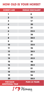 this chart shows the equivalent to your horses age in human