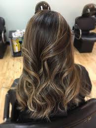 Hair Color 2020 For Morena Straight Hair Monica Gallery In 2020 Dark Hair With Highlights Hair Color For Black Hair Light Hair