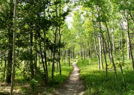 The park is on pennsylvania route 274, 5.5 miles (8.9 km) southwest of new germantown. 10 Of Colorado S Best State Parks