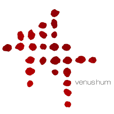 Image result for Venous Hum