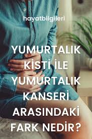 Yumurtalik Kisti Ile Yumurtalik Kanseri Arasindaki Fark Nedir In 2020