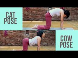 Pin On Yoga Therapy