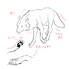 初心者も簡単！オオカミのイラストの描き方 - オンラインイラスト教室アタムアカデミー
