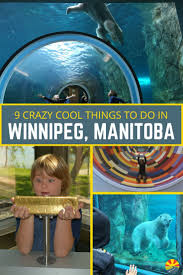 9 Crazy Cool Things To Do In Winnipeg Manitoba Canada Family Adventure Travel Fun Things To Do Things To Do