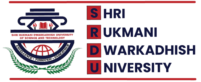 Partner University 3