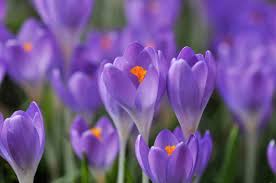 2500 e 19th st, sioux falls, sd 57103, usa adresas. Obituary Kristie R Knudtson Miller Funeral Home