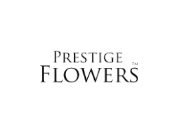 Check spelling or type a new query. Eflorist Discount Code Exclusive 11 Off In September 2021