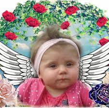 RIP petit loulou, et toutes nos...