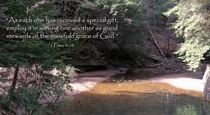 Image result for images Stewards Of God's Grace