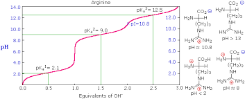 23 3 The Acid Base Properties Of Amino Acids Chemistry