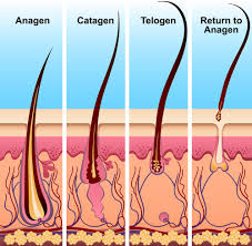 There is a strong message here to examine your inner world before stress manifests itself from uneasiness. Why Is My Hair Falling Out 5 Causes Of Hair Loss And Exactly What To Do