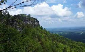 Pilot Mountain State Park Hike Climb Paddle And Camp Pilot Mountain State Park State Parks Mountain States