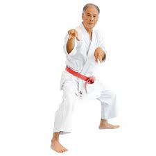 The Seishin Gi