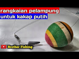Pakan kakap merah dan putih dalam memancing ikan kakap , kita tidak bisa sembarangan memberikan umpan. Rangkaian Mancing Kakap Putih Pakai Pelampung Youtube