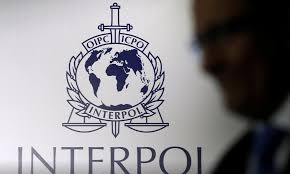 / ˈ ɪ n t. Uae Helps Interpol Rescue 430 Human Trafficking Victims News Khaleej Times