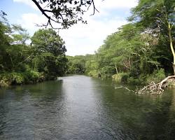 صورة Tsavo River Kenya