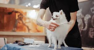 Thousands of pets are groomed safely throughout texas! About Us Pet Heroes Dog Grooming