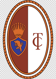 ˈsɛːrje ˈa), also called serie a tim due to sponsorship by tim, is a professional league competition for football clubs located at the top of the italian football league. Turin F S Turinskaya Akf Fiorentina Yuventus F S Seriya A Futbol Logotip Yuventus Fk Futbolnaya Komanda Png Klipartz