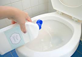 homemade toilet cleaner liquid