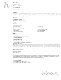 Entry Level Resume Examples Hloom