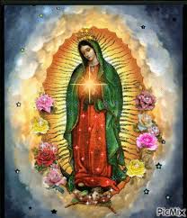 La basílica de la virgen de guadalupe estará cerrada entre el 10 y el 13 de diciembre para evitar aglomeraciones que produzcan contagios del nuevo coronavirus. Https Encrypted Tbn0 Gstatic Com Images Q Tbn And9gcsk6asaif8oebhbog9 2ijhhswxuycgkmlhzq Usqp Cau