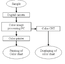 process flow of making color chart download scientific