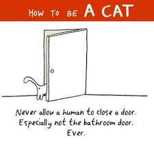 17 hilarious lessons on how to be a cat funny books for kids funny mom quotes work quotes funny