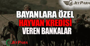 Bayanlara Hayvan Kredisi Veren Bankalar Ve Kurumlar Hayvan Jetler
