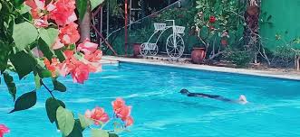 We did not find results for: Nirwana Waterpark Home Facebook