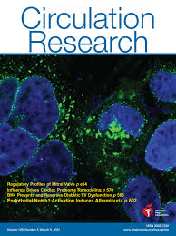 BH4 Increases nNOS Activity and Preserves Left Ventricular Function in  Diabetes