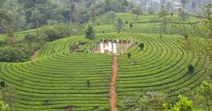 Distance Between Valparai And Munnar Hair Pin Curves Pictures From Valparai Valparai Ghat Road Pictures Munnar Sightseeing Road Pictures