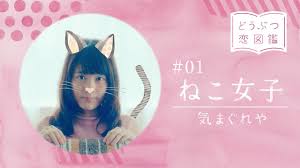 有村架純がキュート過ぎる 動物女子 に ねこ いぬ ワニ 8種類のwebムービー公開 wicca web限定ムービー どうぶつ恋図鑑 k neko photo colour animals