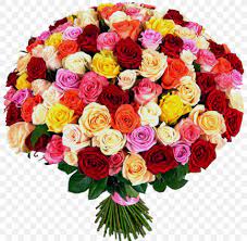 Maybe you would like to learn more about one of these? 101 Roses Garden Roses Flower Bouquet Rose Life Png 800x800px Garden Roses Artificial Flower Cut Flowers