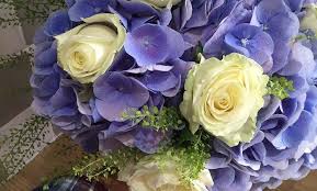 Check spelling or type a new query. Gorgeous Flowers And A Discount Code For You Too English Mum