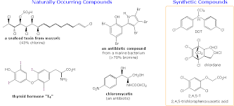 Alkyl Halide Reactivity