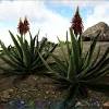 In this really short video i show you how to collect a huge amount of cactus sap in seconds! Https Encrypted Tbn0 Gstatic Com Images Q Tbn And9gcrvtup3smi Rsqodieum7gml2rve69pod3j8qknfglwrc5x4xff Usqp Cau