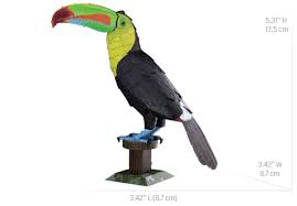 Toucan beak for sale