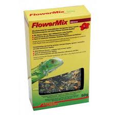 Lord of thetorts has been raising tortoises since 2007, and regularly posted photos. Lucky Reptile Hibiscus Flower Mix 50g Reptile